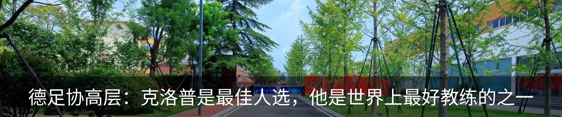 新闻动态