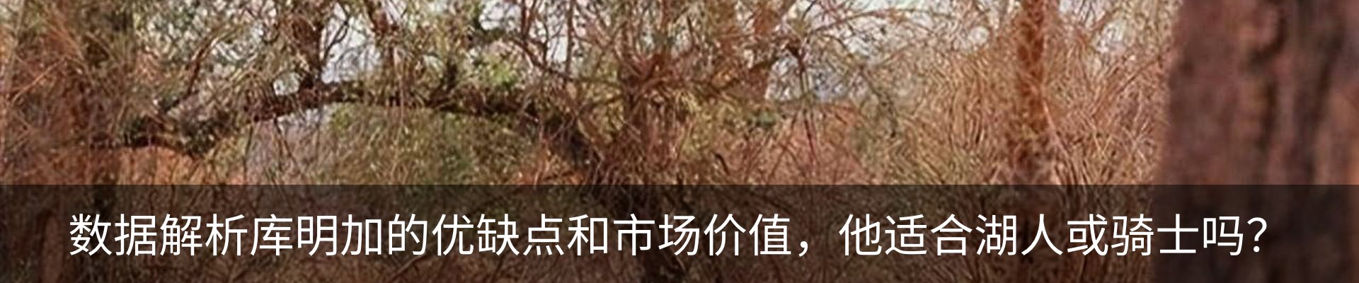 新闻动态