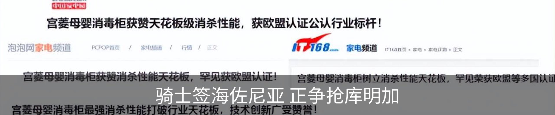 新闻动态